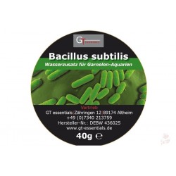 GT Essentials - Bacillus subtilis próbka 10g