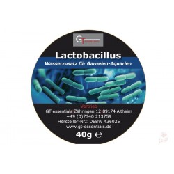 GT essentials - Lactobacillus - bakterie próbka 2g