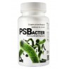 PSBacter – bakterie fotosyntetyczne 30g QualDrop